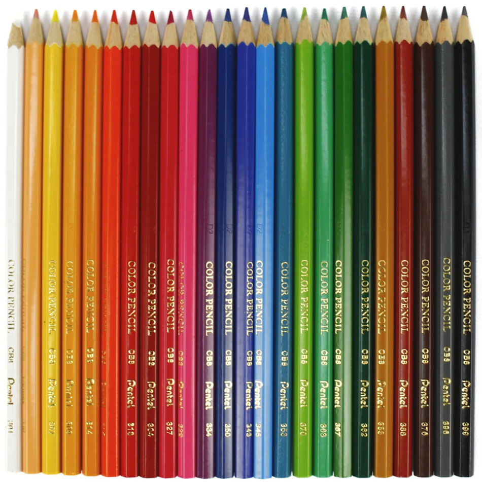 Lápis de cor COMUM 24 Cores - PENTEL Arts