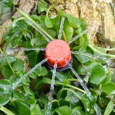 Bico Gotejador Regulável Chuveirop/Irrigação 50 Pcs Irritec