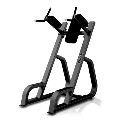 Abdominal Vertical Pro Station Ttfw60