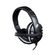 Headset-c-Mic-OEX-HS211-P3-1704150