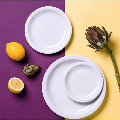 Aparelho Jogo de Jantar Cha Porcelana 30 Peças Iguaçu Germer