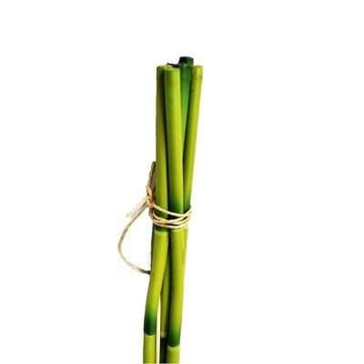 Haste Bambu Planta Artificial Decorativo C-4 Flor Arte