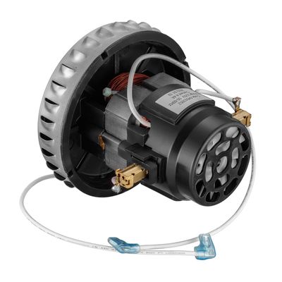 Motos BPS1 850W para Aspirador 220V Electrolux 220V
