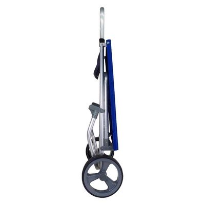 Carrinho De Praia Com Avanço Para Caixa Térmica Zaka Cor:azul Azul