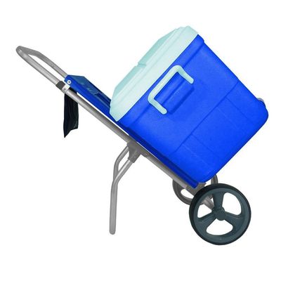 Carrinho De Praia Com Avanço Para Caixa Térmica Zaka Cor:azul Azul