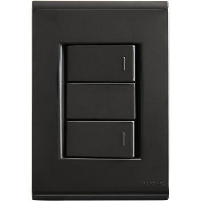 Conjunto 4x2 Com 2 Interruptores Simples 10 A 250 V Tramontina Liz Grafite