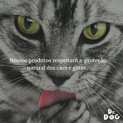 Condicionador Cães e Gatos profissional banho e tosa Dr Dog 5L Desmaio de fios e secagem rápida