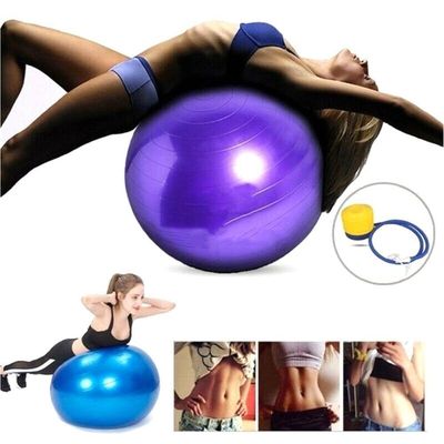 Bola De Pilates E Alongamento 65cm Suporta Até 150 Kg Roxo