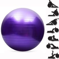 Bola De Pilates E Alongamento 65cm Suporta Até 150 Kg Roxo