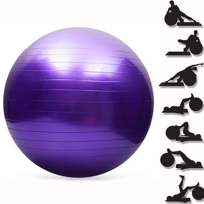 Bola De Pilates E Alongamento 65cm Suporta Até 150 Kg Roxo