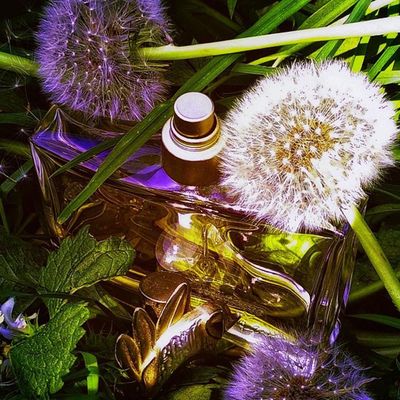 Perfume Jungle By Kenzo Edp Feminino 100ml