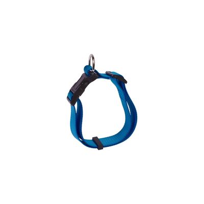 Coleira P Azul