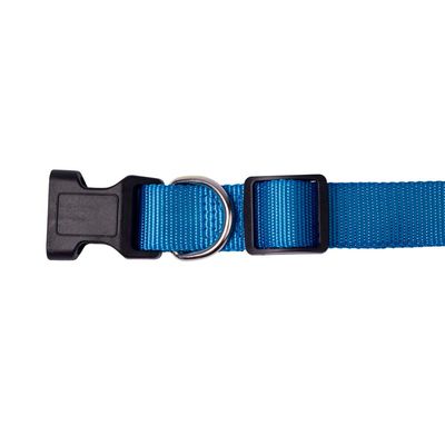 Coleira P Azul