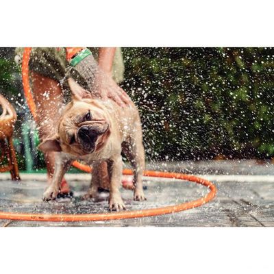 Mangueira Multi 1/2" Laranja Em Pvc 3 Camadas 25 M Com Engates Rápidos E Esguicho