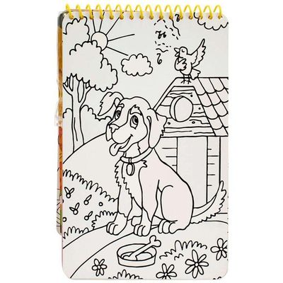 Livro Surpresas Com água Animais De Estimação