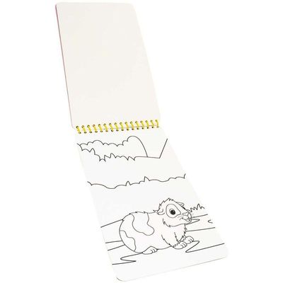 Livro Surpresas Com água Animais De Estimação