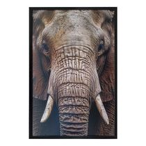 Quadro Decorativo Elefante Moldura Cx Alta 100x66