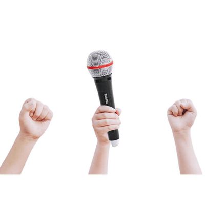 Microphone (giggle Stick) By Jl Magic