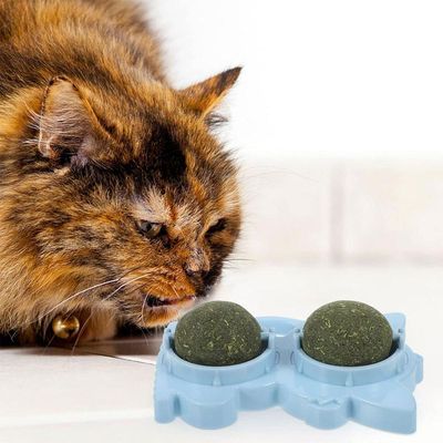 Brinquedo Erva De Gato Pet Bola Bolinha Menta Catnip Interativo Natural Animal De Estimaçao