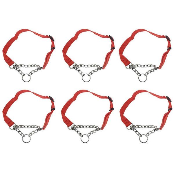 Coleira Ajustavel Kit 6 Unid Caes Corrente 2 Cm Elo Torcido Pet Treinamento Passeio