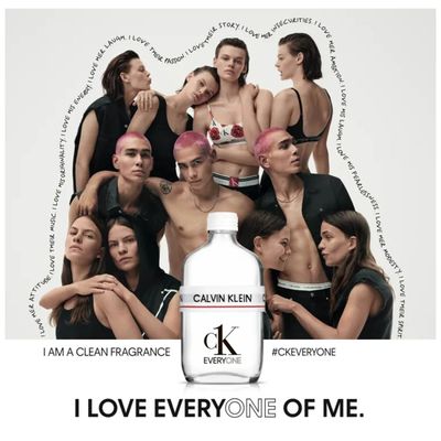Perfume Everyone Calvin Klein Edt Unissex 100ml Selo Adipec