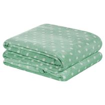 Manta Casal Padrão Petit Poa Flannel Microfibra 1 Peça - Salvia