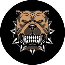 Capa De Estepe Personalizada Ecosport Pit Bull 3