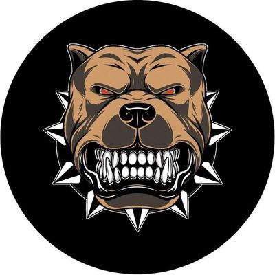 Capa De Estepe Personalizada Ecosport Pit Bull 3