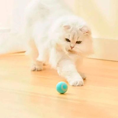 Bola Giratoria Gato Pet Brinquedo Interativo