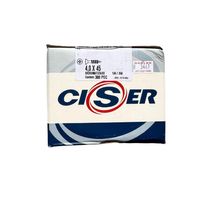 Parafuso Fixer Chato Phillips - Ciser 4,0x45 - 300 Peças