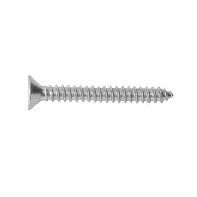 Parafuso Auto Atarraxante Inox Phillips 4,2x38mm