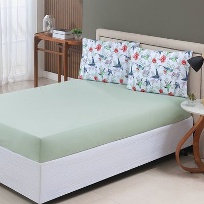 Jogo de Cama Lençol Sonho Bom Queen em Malha Algodão 3 Peças - Verde - 100% Algodão