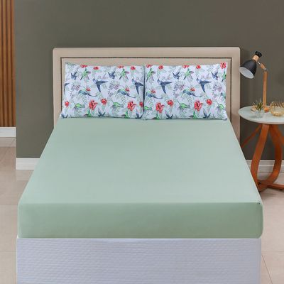 Jogo de Cama Lençol Sonho Bom Queen em Malha Algodão 3 Peças - Verde - 100% Algodão