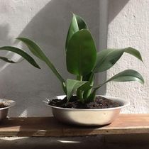 Bacia De Alumínio Redonda Para Banho Assento E Cozinha 45cm