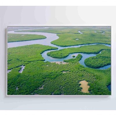 Quadro Rios E Floresta Amazônia 60x40 Cm Vidro Impresso
