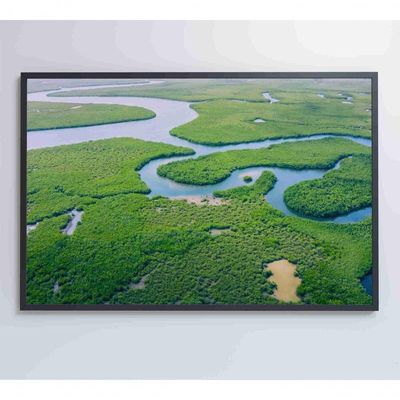 Quadro Rios E Floresta Amazônia 60x40 Cm Vidro Impresso