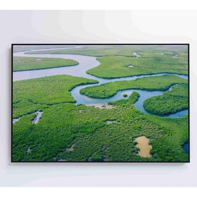Quadro Rios E Floresta Amazônia 60x40 Cm Vidro Impresso