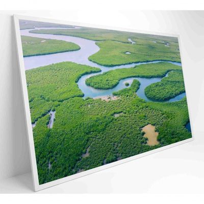 Quadro Rios E Floresta Amazônia 60x40 Cm Vidro Impresso
