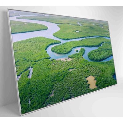 Quadro Rios E Floresta Amazônia 60x40 Cm Vidro Impresso