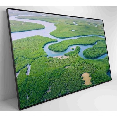 Quadro Rios E Floresta Amazônia 60x40 Cm Vidro Impresso