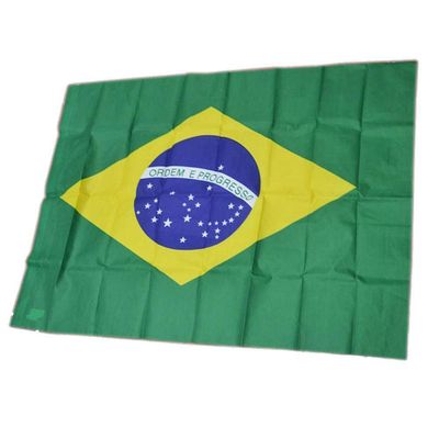Bandeira Do Brasil Partida Copa Jogo Brasileiro Comemoração