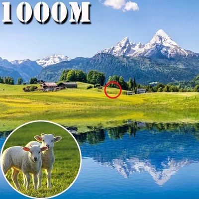 Binóculo De Visão De Longa Distância Dobráveis Poderoso, 500x25, Portátil Preto