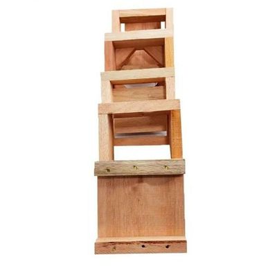 Kit 5 Caixas Impa Abelhas Sem Ferrão Eucalipto 12X12