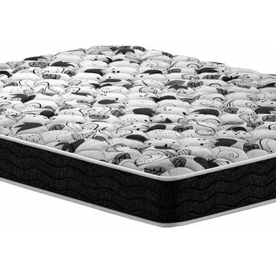 Colchão Queen Espuma D20 Prodormir Advanced Black (158x198x14) - Probel