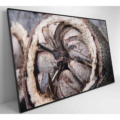 Quadro Castanha Do Pará Amazônia 120x80 Cm Tecido Canvas