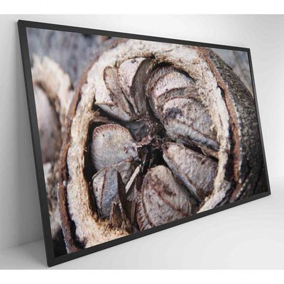 Quadro Castanha Do Pará Amazônia 120x80 Cm Tecido Canvas