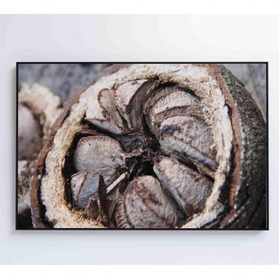 Quadro Castanha Do Pará Amazônia 120x80 Cm Tecido Canvas