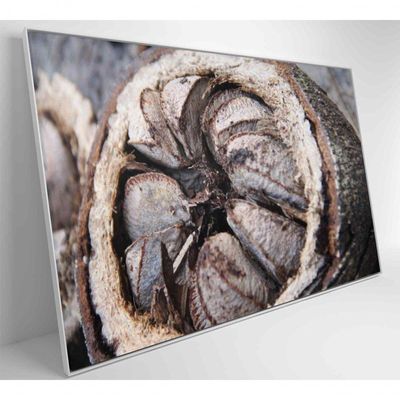 Quadro Castanha Do Pará Amazônia 120x80 Cm Tecido Canvas
