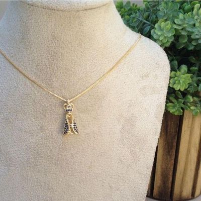 Gargantilha Nossa Senhora Aparecida Banhado A Ouro 18k
