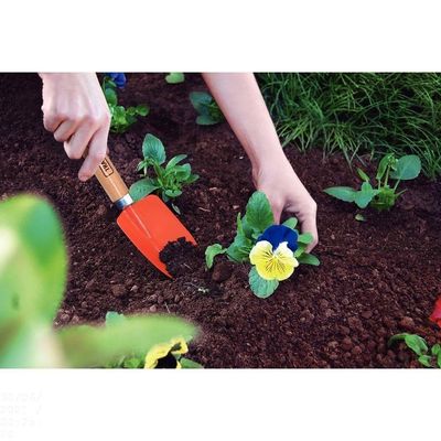Pazinha Estreita Metálica Para Jardinagem Tramontina Com Cabo De Madeira Tramontina